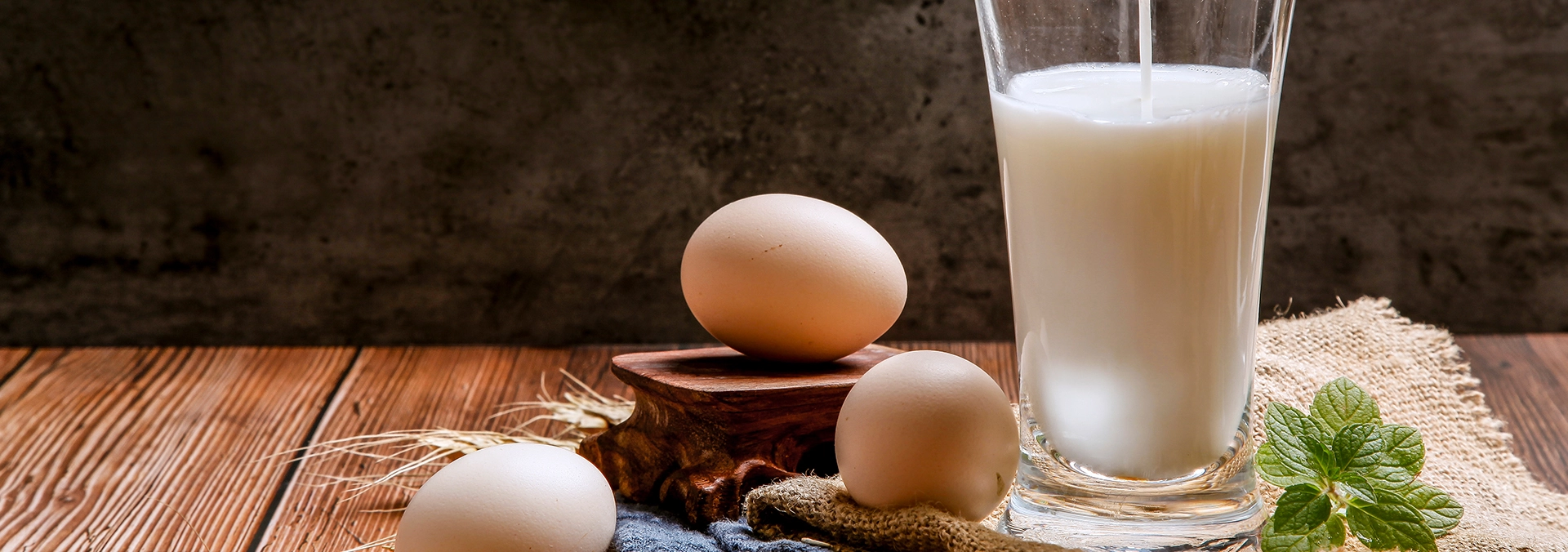 greatwall-mixers-food-beverage-mixer-application-1